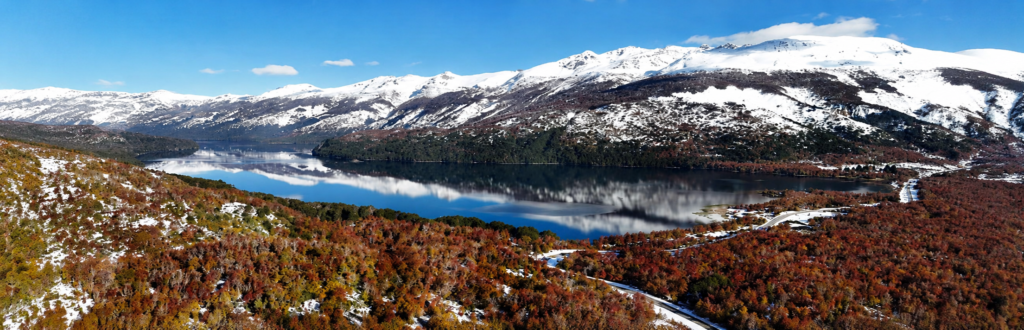 Ruta de los Siete Lagos rodeada de bosque patagónico